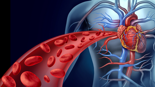 Interconnected Body Systems - Impact of CHD