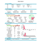 EMAY Health Monitoring EMAY SleepO2 Pro Sleep Apnea Monitor